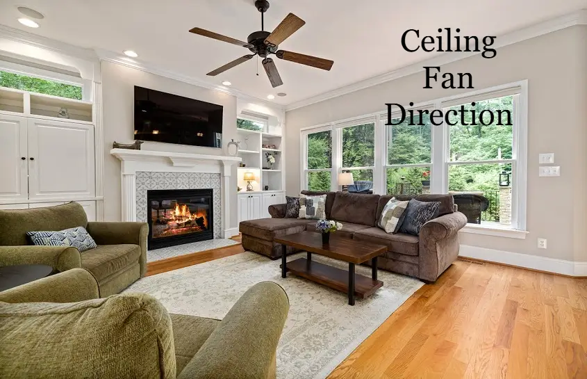 Ceiling Fan Direction: A Practical Guide to Staying Comfortable in Summer and Winter